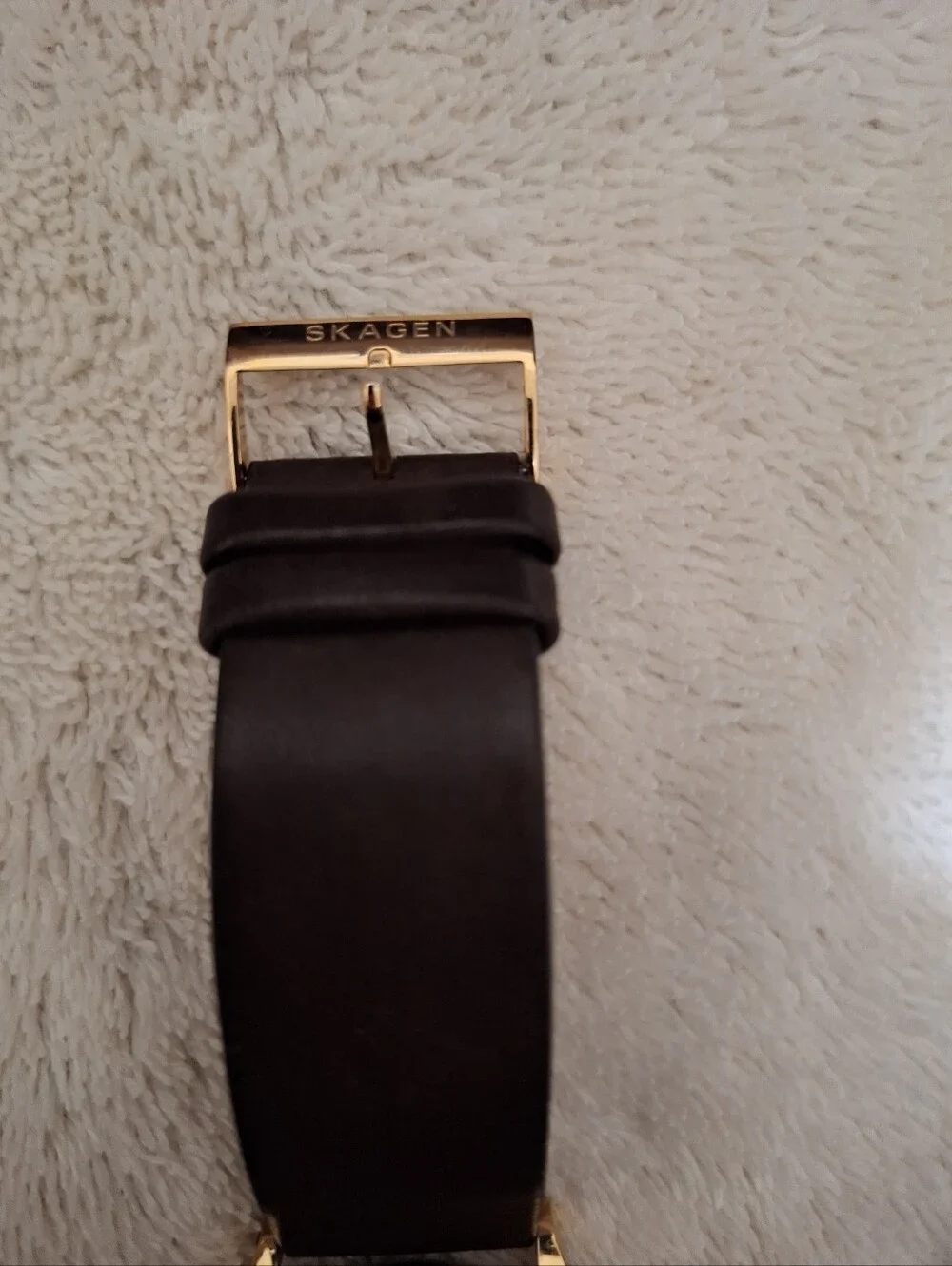 Mens Skagen Denmark Watch Rose Gold/ Burgundy